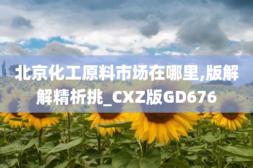 北京化工原料市场在哪里,版解解精析挑_CXZ版GD676