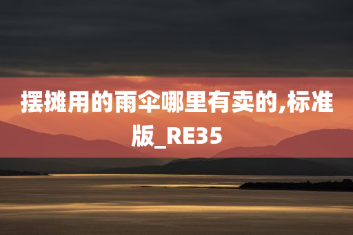 RE35 第2页