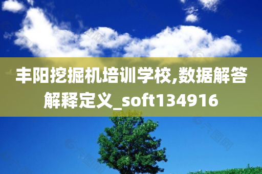 丰阳挖掘机培训学校,数据解答解释定义_soft134916