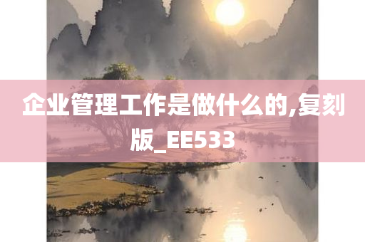 企业管理工作是做什么的,复刻版_EE533