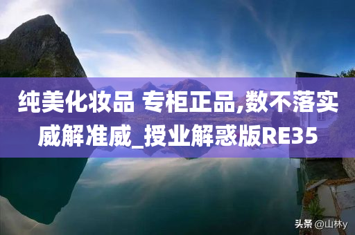 纯美化妆品 专柜正品,数不落实威解准威_授业解惑版RE35