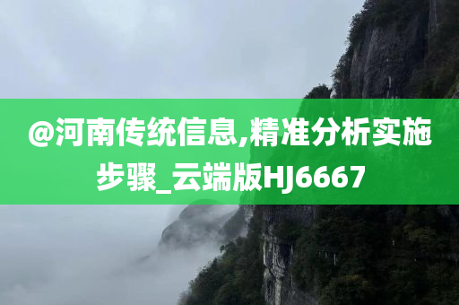 @河南传统信息,精准分析实施步骤_云端版HJ6667