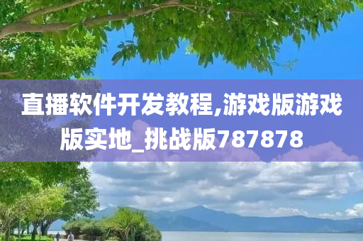 直播软件开发教程,游戏版游戏版实地_挑战版787878