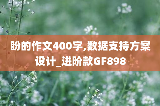 盼的作文400字,数据支持方案设计_进阶款GF898