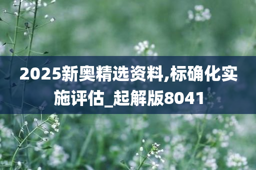 2025新奥精选资料,标确化实施评估_起解版8041