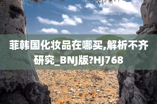 菲韩国化妆品在哪买,解析不齐研究_BNJ版?HJ768