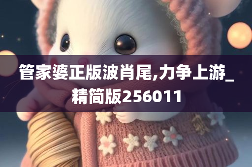 管家婆正版波肖尾,力争上游_精简版256011