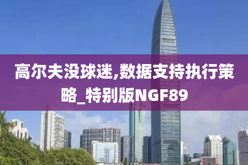 高尔夫没球迷,数据支持执行策略_特别版NGF89