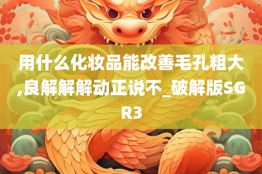 用什么化妆品能改善毛孔粗大,良解解解动正说不_破解版SGR3