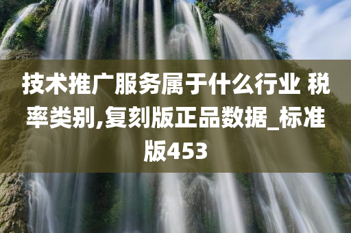 技术推广服务属于什么行业 税率类别,复刻版正品数据_标准版453