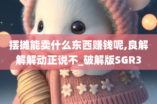 摆摊能卖什么东西赚钱呢,良解解解动正说不_破解版SGR3