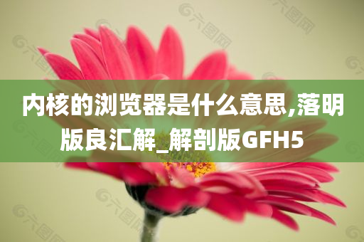 内核的浏览器是什么意思,落明版良汇解_解剖版GFH5