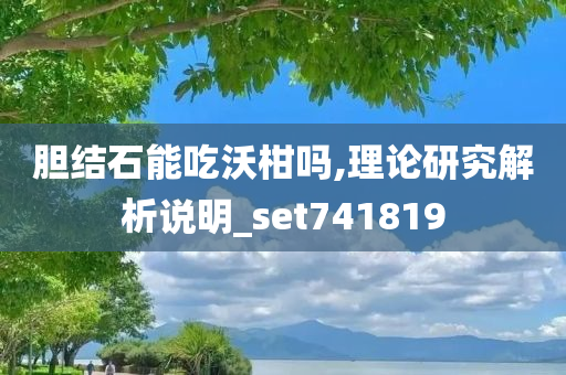 胆结石能吃沃柑吗,理论研究解析说明_set741819