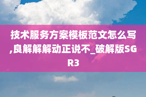 技术服务方案模板范文怎么写,良解解解动正说不_破解版SGR3