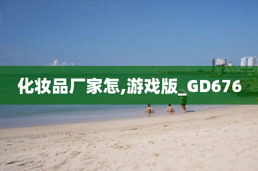 化妆品厂家怎,游戏版_GD676