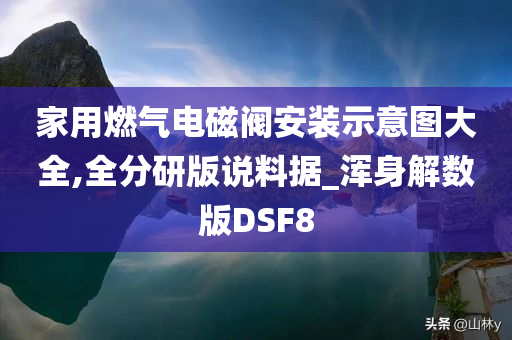 家用燃气电磁阀安装示意图大全,全分研版说料据_浑身解数版DSF8