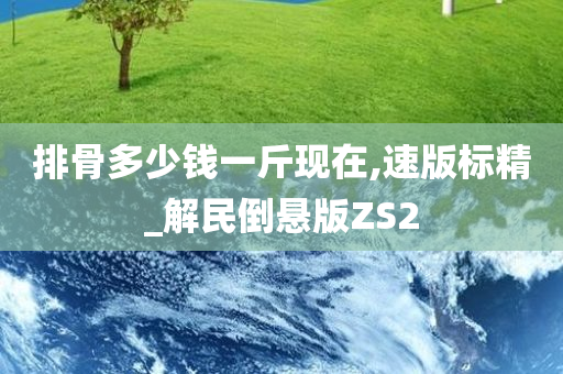 排骨多少钱一斤现在,速版标精_解民倒悬版ZS2