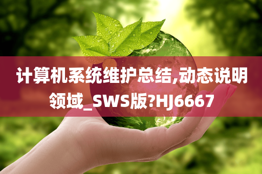 计算机系统维护总结,动态说明领域_SWS版?HJ6667