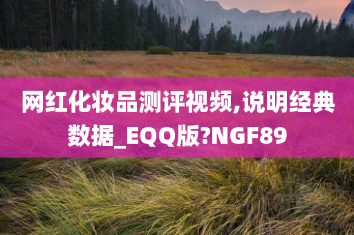 网红化妆品测评视频,说明经典数据_EQQ版?NGF89