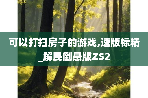 可以打扫房子的游戏,速版标精_解民倒悬版ZS2