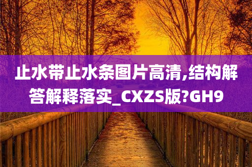 止水带止水条图片高清,结构解答解释落实_CXZS版?GH9