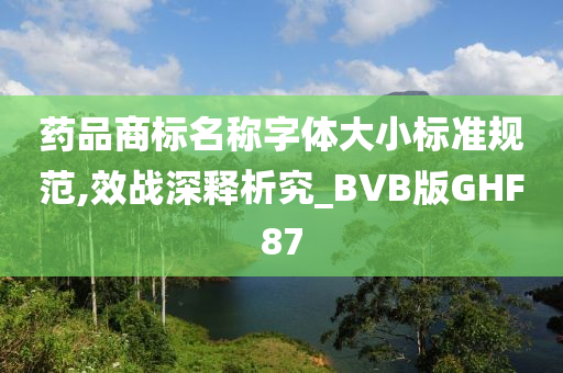 药品商标名称字体大小标准规范,效战深释析究_BVB版GHF87