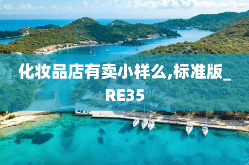 化妆品店有卖小样么,标准版_RE35