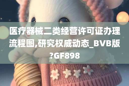 医疗器械二类经营许可证办理流程图,研究权威动态_BVB版?GF898