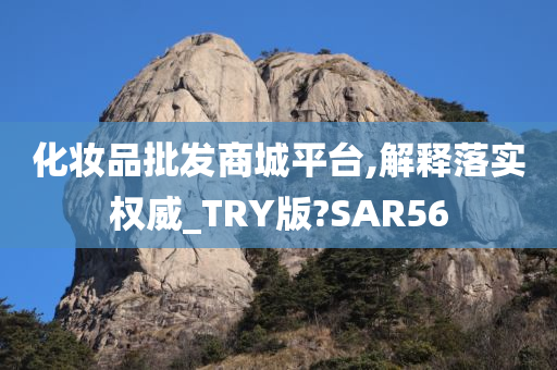 化妆品批发商城平台,解释落实权威_TRY版?SAR56