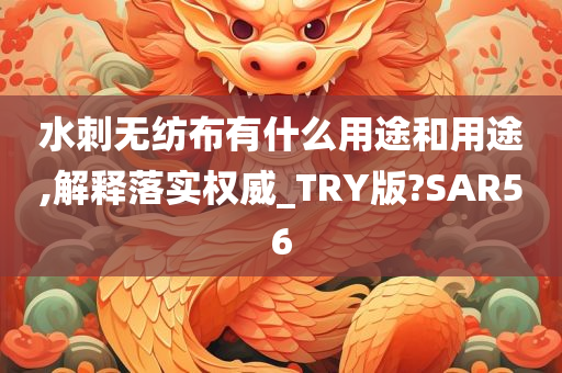 水刺无纺布有什么用途和用途,解释落实权威_TRY版?SAR56