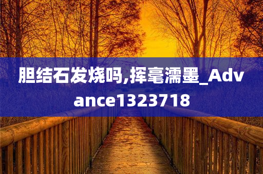 胆结石发烧吗,挥毫濡墨_Advance1323718