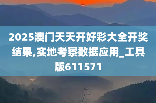 2025澳门天天开好彩大全开奖结果,实地考察数据应用_工具版611571