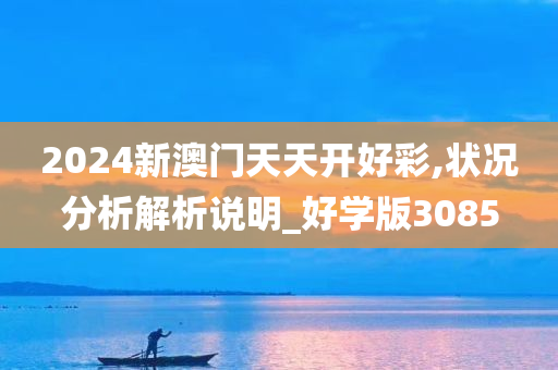 2024新澳门天天开好彩,状况分析解析说明_好学版3085