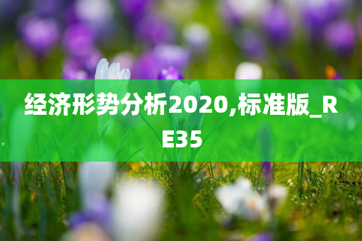 经济形势分析2020,标准版_RE35