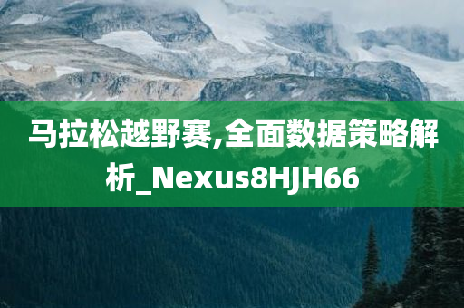 马拉松越野赛,全面数据策略解析_Nexus8HJH66