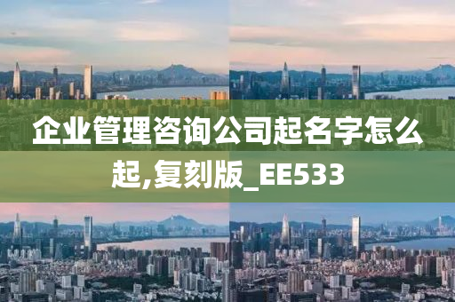 企业管理咨询公司起名字怎么起,复刻版_EE533