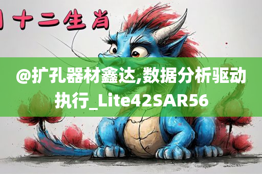 @扩孔器材鑫达,数据分析驱动执行_Lite42SAR56