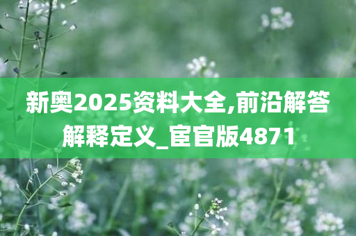 新奥2025资料大全,前沿解答解释定义_宦官版4871