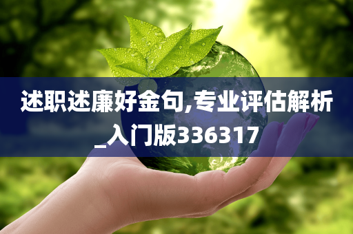 述职述廉好金句,专业评估解析_入门版336317