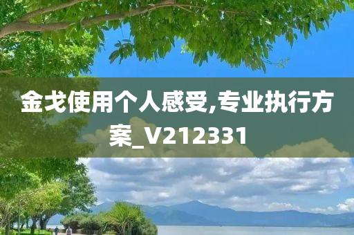 金戈使用个人感受,专业执行方案_V212331