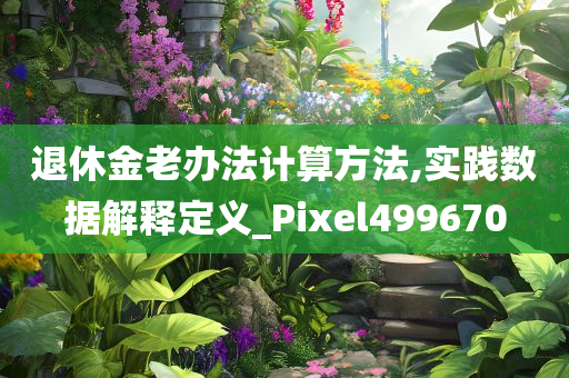 退休金老办法计算方法,实践数据解释定义_Pixel499670