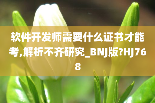 软件开发师需要什么证书才能考,解析不齐研究_BNJ版?HJ768