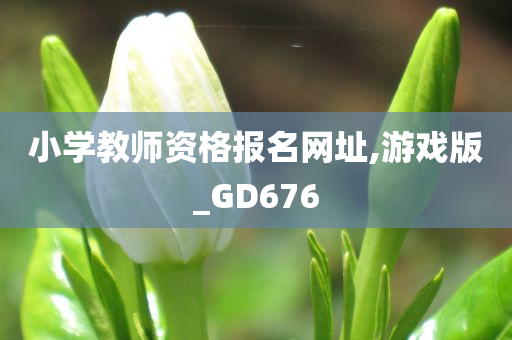 小学教师资格报名网址,游戏版_GD676