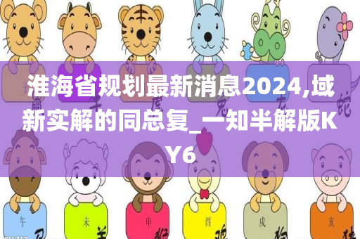 淮海省规划最新消息2024,域新实解的同总复_一知半解版KY6