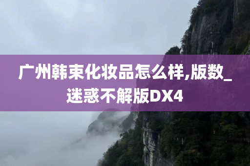 广州韩束化妆品怎么样,版数_迷惑不解版DX4