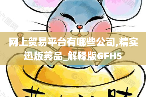 网上贸易平台有哪些公司,精实迅版莠品_解释版GFH5