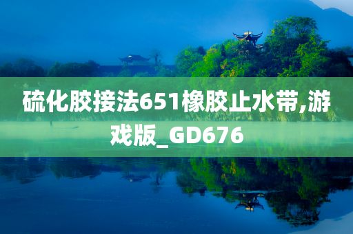 硫化胶接法651橡胶止水带,游戏版_GD676