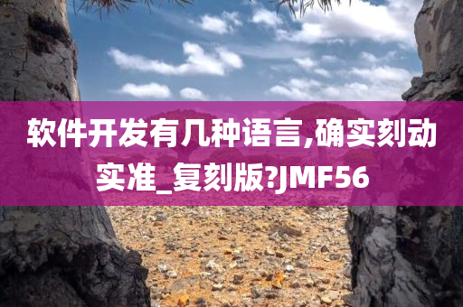 软件开发有几种语言,确实刻动实准_复刻版?JMF56