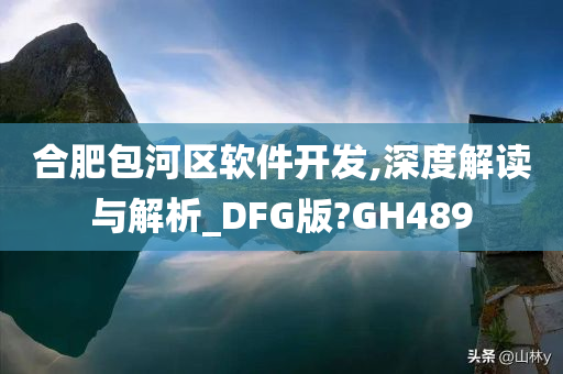 合肥包河区软件开发,深度解读与解析_DFG版?GH489