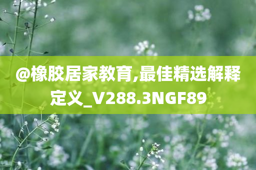 @橡胶居家教育,最佳精选解释定义_V288.3NGF89